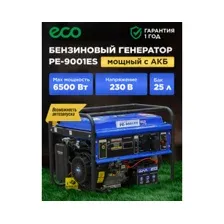 Генератор ECO PE-9001ES