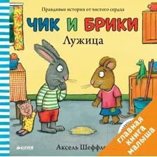 Книга Чик и Брики. Лужица Шеффлер А.