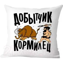 Подушка декоративная Print Style Добытчик, кормилец / 40x40plat145