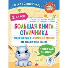 Учебное пособие АСТ Большая книга отличника. Математика. Русский язык. 1класс (Позднева Татьяна и др)