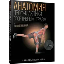 Анатомия профилактики спортивных травм