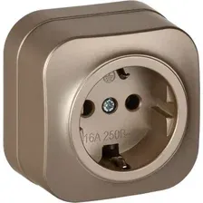 Розетка IEK Glory ERH11-K37M-16 (шампань матовый)