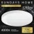 Припотолочная люстра Sundays Home 240924-10 5733 (белый)