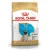 Сухой корм для собак Royal Canin Pug Puppy 1.5 кг