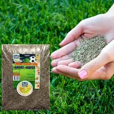 Семена VDV Seeds Sport-кортт 1 кг