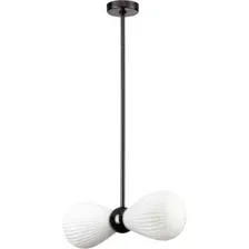Подвесная люстра Odeon Light Elica 5418/2