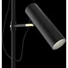 Торшер Maytoni Bansky MOD129FL-01W