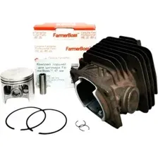 Поршневая группа бензопилы Farmertec FarmerBoss 47мм (QG36147PROC)