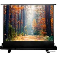 Проекционный экран CACTUS FloorExpert 135x180 CS-PSFLE-180х135