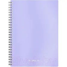 Тетрадь Erich Krause Candy / 54166 (80л, клетка)