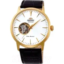 Часы наручные мужские Orient FAG02003W