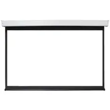 Проекционный экран Future Vision Video Electric 240x180 E240VMW