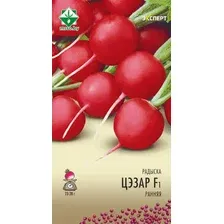 Семена МинскСортСемОвощ Редис. Цезарь Эксперт F1 (1г)