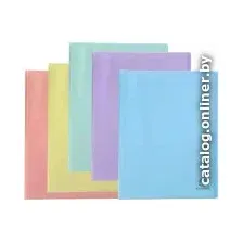 Папка для бумаг Exacompta Chromaline Pastel 88370E (ассорти)