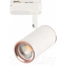 Трековый светильник ST Luce Cromi ST301.526.01