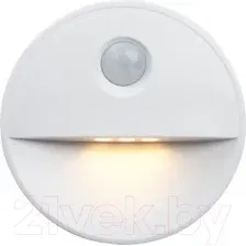 Светильник Feron FN1221 41882