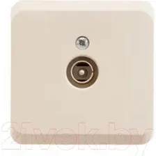Розетка Systeme (Schneider) Electric Этюд TVA-002K