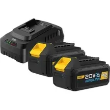Аккумулятор с зарядным устройством Deli EDL-CM20A4E (20В/2x4 Ah + 20В)