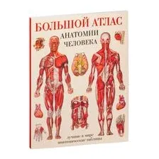 Большой атлас анатомии человека