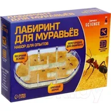 Научная игра Эврики Лабиринт для муравьёв Эврики / 7826143