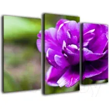 Картина модульная Arthata m-000201 (75x50)