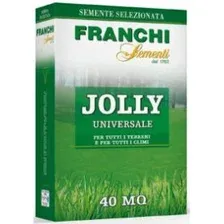 Семена газонной травы FRANCHI Sementi Веселый луг  (1кг)