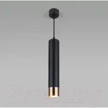 Потолочный светильник Elektrostandard DLN107 GU10 (черный/золото)