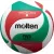 Волейбольный мяч Molten V5M5000 (5 размер)
