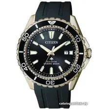 Наручные часы Citizen BN0193-17E
