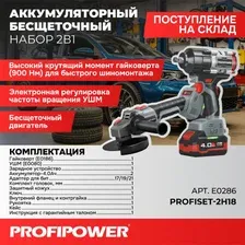 Profipower ProfiSet-2H20 E0286 (гайковерт, болгарка, 2 АКБ, кейс)
