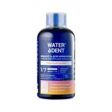 Жидкость для ирригатора WATERDENT Утренний детокс 500мл
