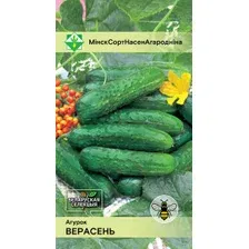 Огурец Верасень 0.6г