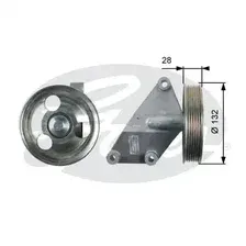 ролик обводной ремня ГРМ! Peugeot Expert II/Expert II 4x4/Expert III 4x4 2.0 07 T36428 GATES