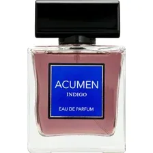 Парфюмерная вода Dilis Acumen Indigo, мужская, 100 мл