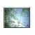 Проекционный экран Lumien Eco Control 198x300 / LEC-100112