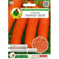 Семена PNOS Морковь Первый сбор в граннулах (300шт)