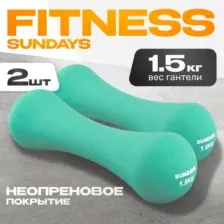 Набор гантелей Sundays Fitness IR92004-D (2х1.5кг, бирюзовый)