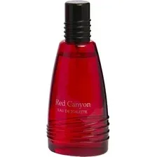 Туалетная вода Real Time Red Canyon Men (100мл)