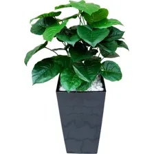Искусственное растение Forgarden Филодендрон BN11137