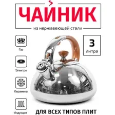 Чайник со свистком TimA WTK178WH