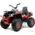 Электроквадроцикл RiverToys H999HH (красный)