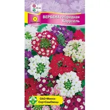 Вербена гибридная Карусель см 0.2г