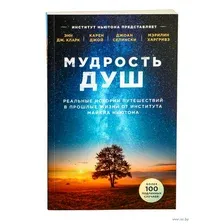 Мудрость душ. Реальные истории путешествий в прошлые жизни от Института Майкла Ньютона