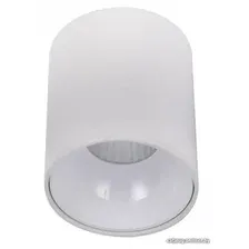 Точечный светильник Citilux Старк CL7440100