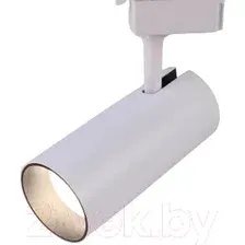 Трековый светильник ЭРА TR5-30 COB WH Б0049054