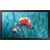 Интерактивная панель Samsung QB13R-T