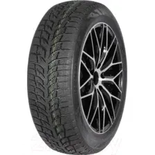 Зимняя шина Autogreen Snow Chaser AW02 255/45R20 105T