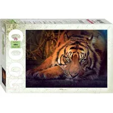Пазл Step Puzzle Сибирский тигр 79142 (1000 эл)