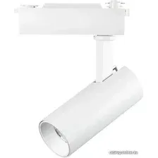 Трековый светильник Lightstar Fuoco 218216