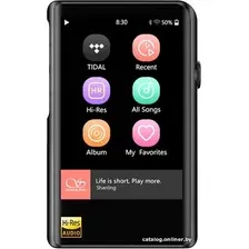 Hi-Fi плеер Shanling M2X (черный)